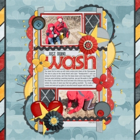 65_2011_washingmachine_600w.jpg
