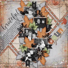 AP-JSDcolormegratefulcschneider-single71.jpg