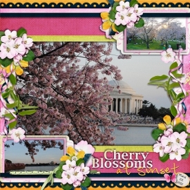 Cherry_Blossoms.jpg