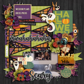 DSD_cschneider-TP110_cmg-ez_heebie.jpg