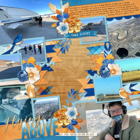Flying_Above_web.jpg