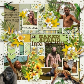Into-The-Wild.jpg
