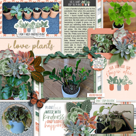 LovePlants_immaculeah.jpg