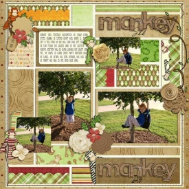 Monkey-See-Monkey-Do_WebBT2012.jpg