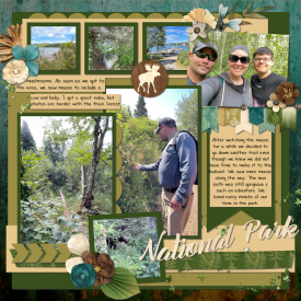 Northwoods_Page_31_web.jpg