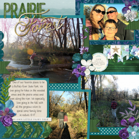 Prairie_Forest_web.jpg