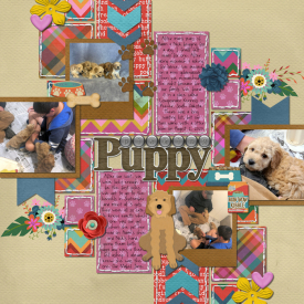 Puppy_Picking_web.jpg