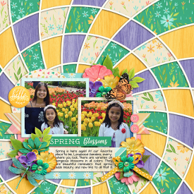 Spring_immaculeah5.jpg