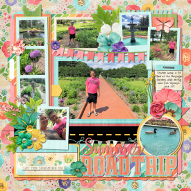 Summer_Road_Trip_web.jpg