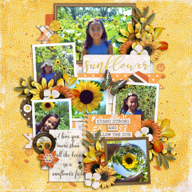 Sunflower_immaculeah.jpg