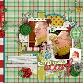 TheChristmasScarf_150K.jpg