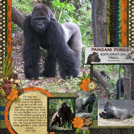 WDW611-PanginiGorillasweb.jpg