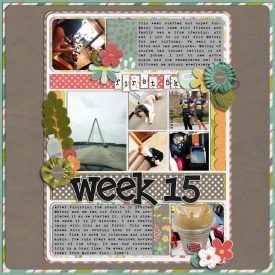 Week-15_WebBT2012.jpg