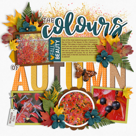 autumnColours-web-700.jpg