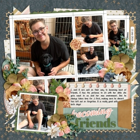 bBecomingFriends-web-700.jpg