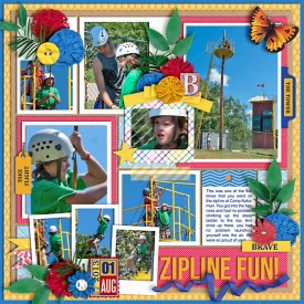 bZipline2013-web-700.jpg