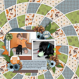 benAndJasperJune2013-web-700.jpg