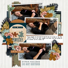 benCloverCuddles-web-700.jpg