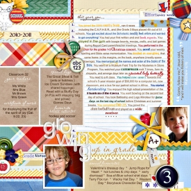 bgrade3-web-700.jpg