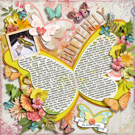 butterfly_immaculeah.jpg