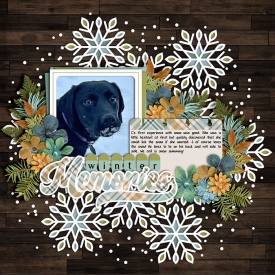 cFirstSnow-web-700.jpg