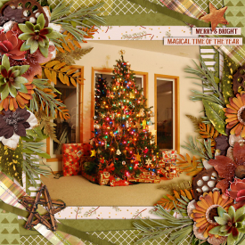 christmasTree2011-web-700.jpg