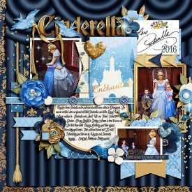 cinderella-ssd.jpg