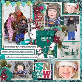 cschneider-DIUblocked1pg2rightwinter-Pg.jpg