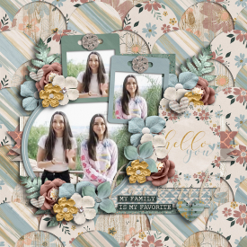 cschneider-set274_myfavehello.jpg
