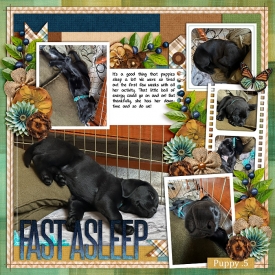 fastasleep-web-700.jpg