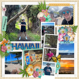hawaiiRight-web-700.jpg