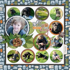 j2013DogPen-web-700.jpg