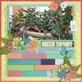 jadePlant-web-700.jpg