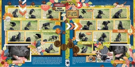 jbplay-web-3_5x7.jpg