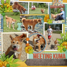 kumaPuppy-web-700.jpg