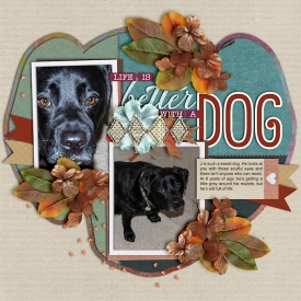lifeWithaDog-web-700.jpg
