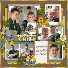meetingCarter-web-700.jpg