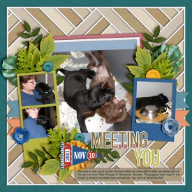 meetingTeba2001-web-700.jpg