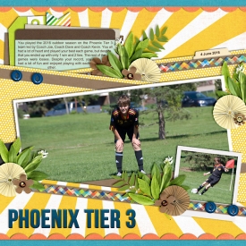 phoenixTier3-web-700.jpg