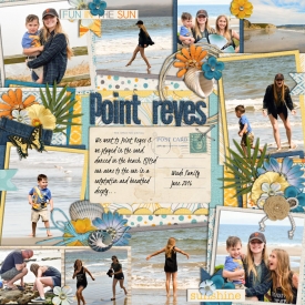 pointreyesweb.jpg