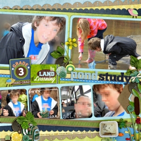 pondStudy-web-700.jpg