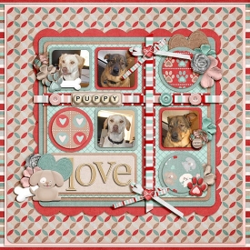 puppies_web.jpg