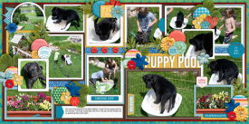 puppyPool2013-web-700-both.jpg