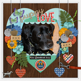 puppylove-web-700.jpg