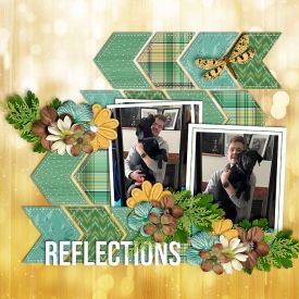 reflections-web-700.jpg