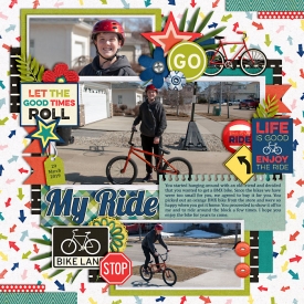 sBMXBike-web-700.jpg