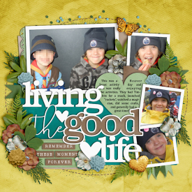 sBeaverScouts-web-700.jpg