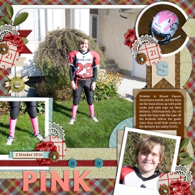 sFootballBreastCancerAwareness-web-700.jpg