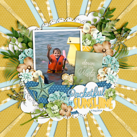 sSunshine-web-700.jpg