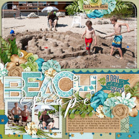 salmonArmBeach-web-700.jpg